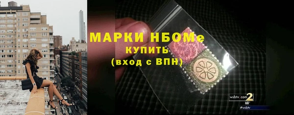 дживик Надым