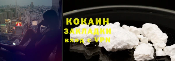 прущие грибы Наволоки