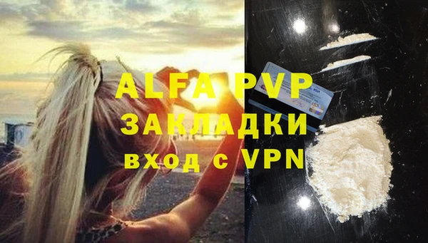 дживик Надым