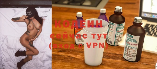 прущие грибы Наволоки