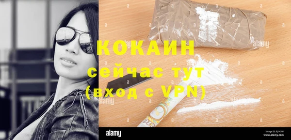 прущие грибы Наволоки