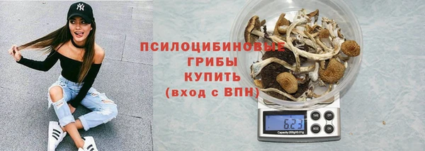 прущие грибы Наволоки