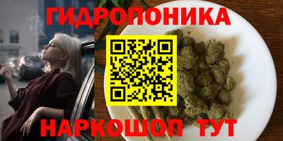 ПСИЛОЦИБИНОВЫЕ ГРИБЫ Гусь-Хрустальный