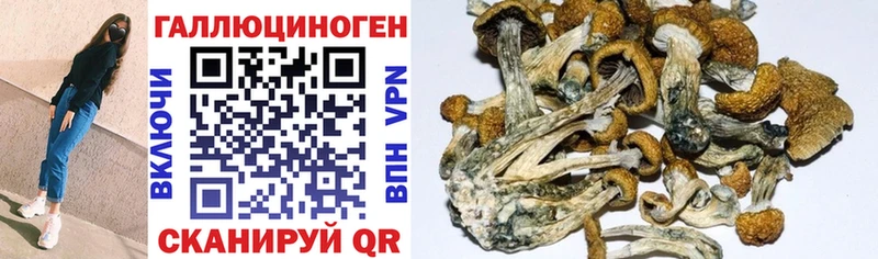 Галлюциногенные грибы MAGIC MUSHROOMS Отрадный
