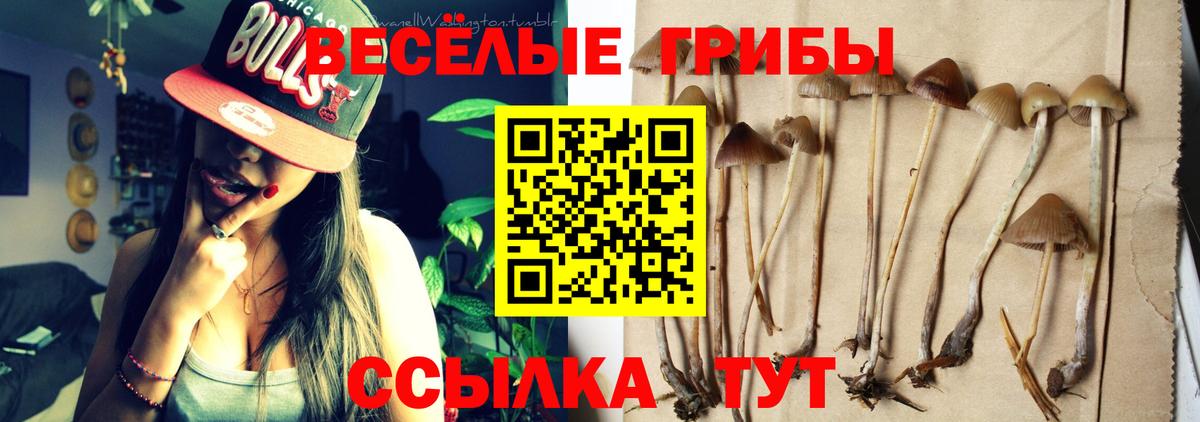 Галлюциногенные грибы мицелий  Вход с VPN  Отрадный  Галлюциногенные грибы GOLDEN TEACHER 